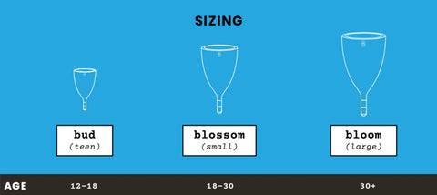 Bloody Buddy Cup Sizing
